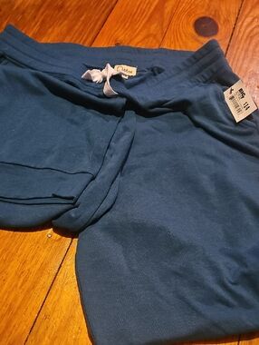 Dittos Teal Blue Women's Drawstring Joggers
